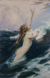 Fliegender Fisch, 1910